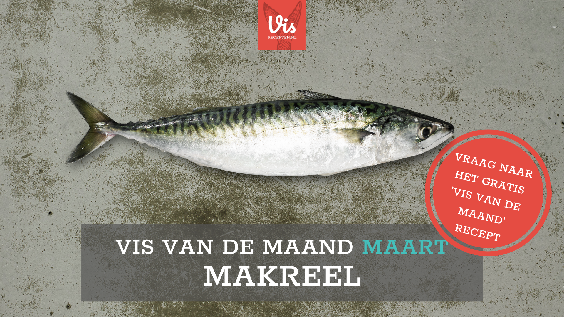 Makreel 'Vis van de Maand' maart