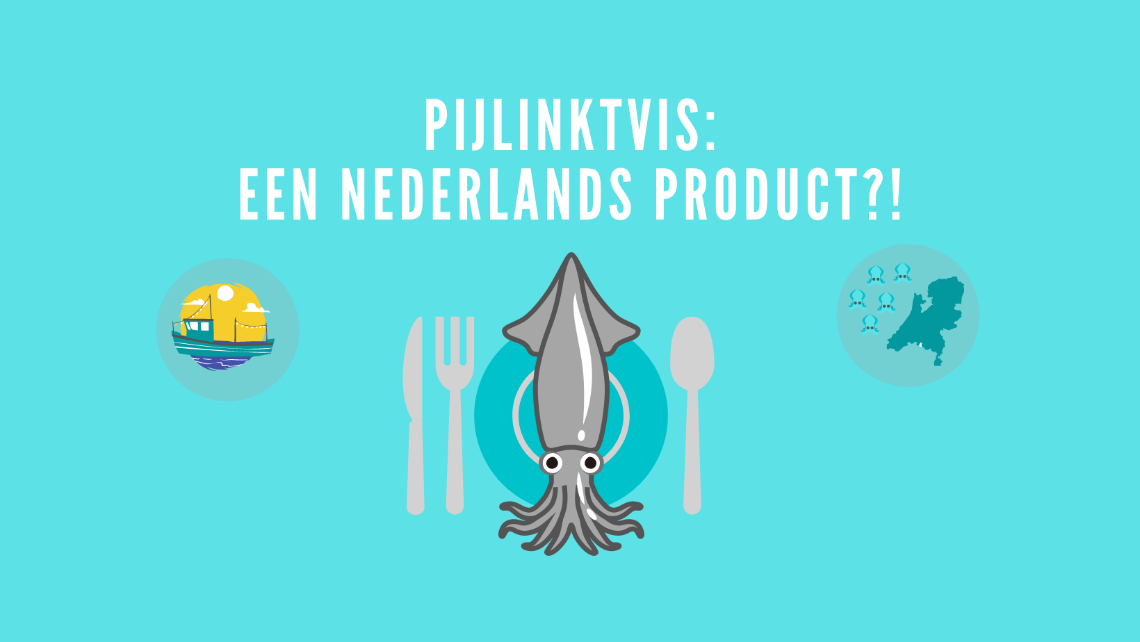 Pijlinktvis een Nederlands Product