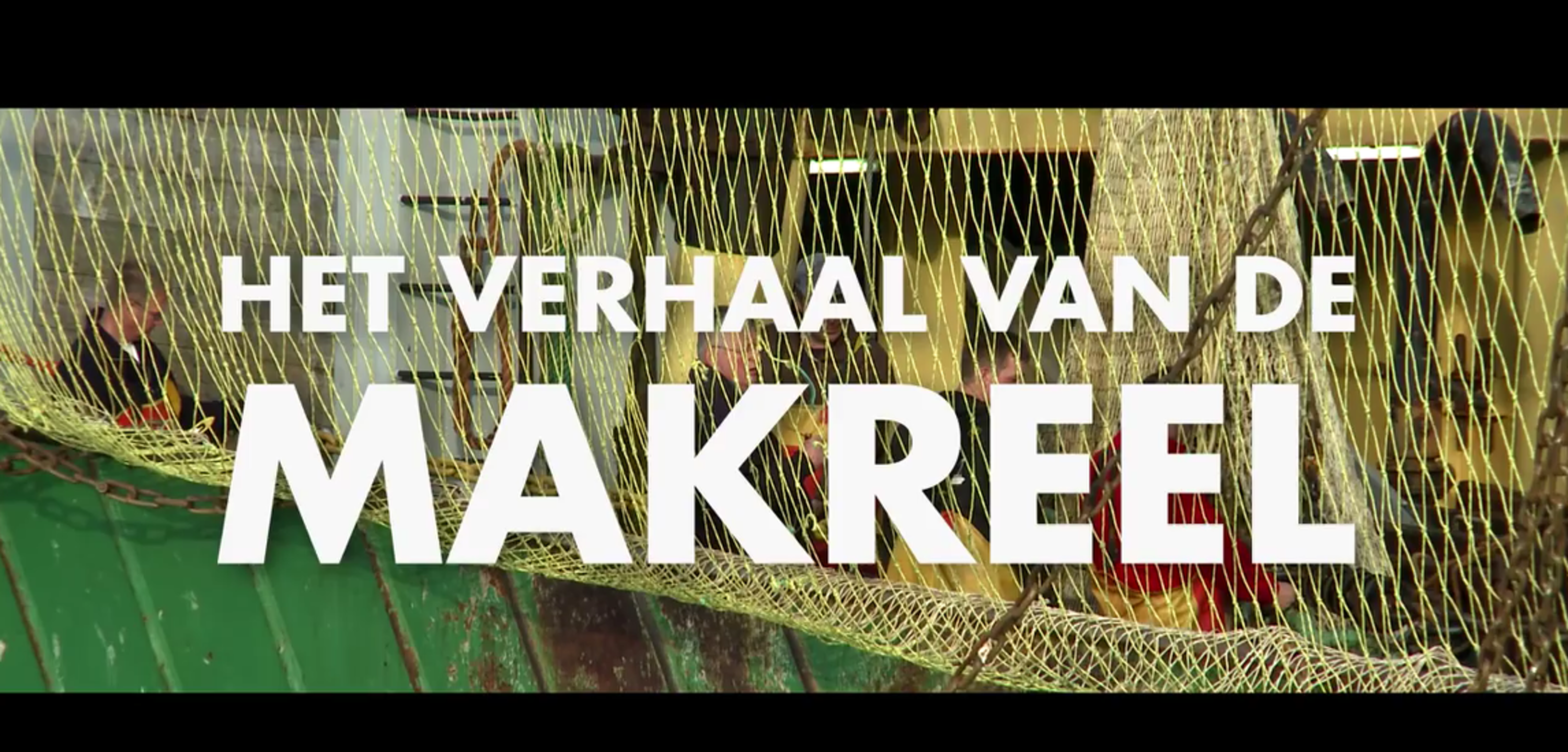 Makreel | Visrecepten.nl