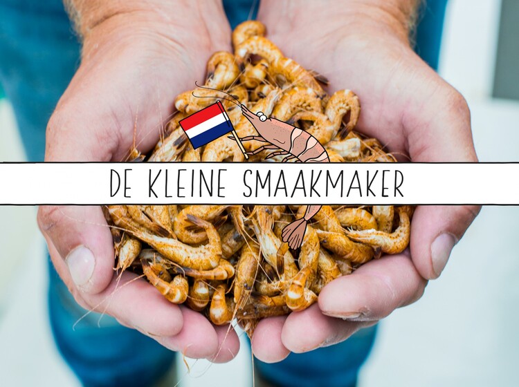 Negen verrassende recepten met glansrol voor Hollandse garnaal